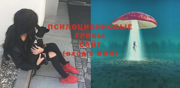 прущие крисы Алексеевка