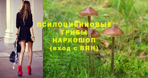 прущие крисы Алексеевка