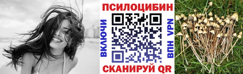 Купить закладки  Славянск-на-Кубани  Галлюциногенные грибы Magic Shrooms 